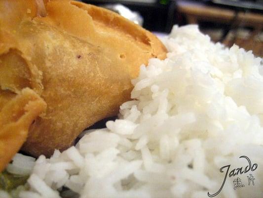 Samosa + Rice