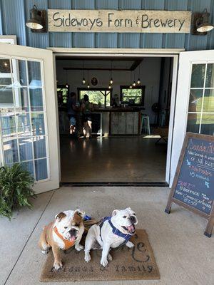 Main entrance, dog friendly