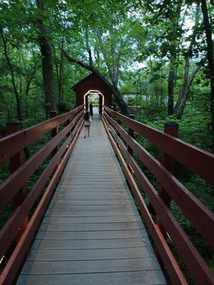 Walkway over marshy areas behind store