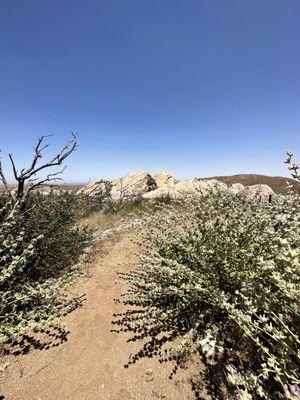 Some places along the loop walk