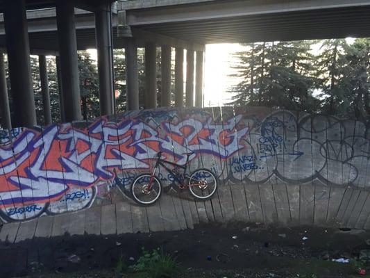 Morning ride under the highway. Amazing potential that needs some love. Clean it up, and polish her up. Sweet wall ride to rip down!