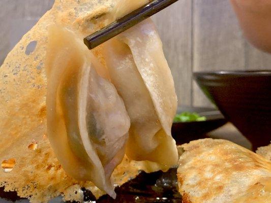 Pork & Shrimp Pot Stickers