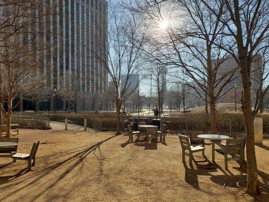 Looking Across Civic Garden