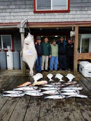 Day's catch, Kings, Yellow Eye, Coco's and Halibut