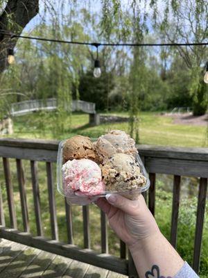 Ice Cream Flight