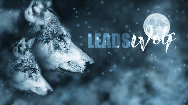 Leads Wolf - The 4 Systems to IMPACT
 "Howling at the market"