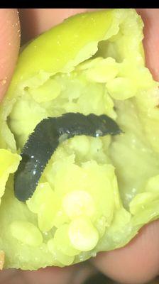 Found this little critter in my food