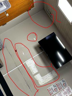 This can't be healthy! What even is that black line? Is that dry wall bubbling?