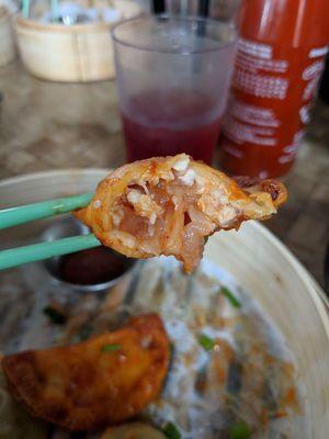 Raw Chicken in the Korean Dumplings