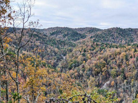 Chestnut Knob Trail