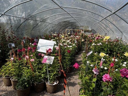 Agua Fria Nursery