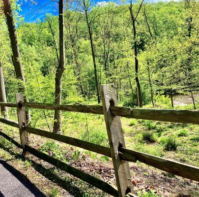 Chester Creek Trail