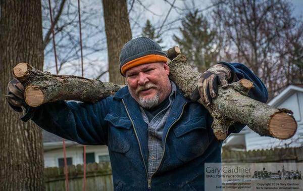 M & E Tree Service