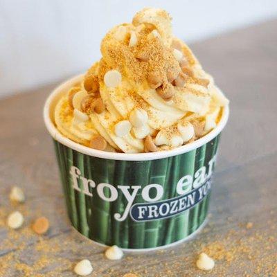 Froyo Earth