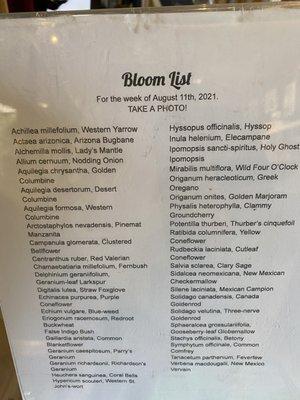 Check out this list of wildflowers.