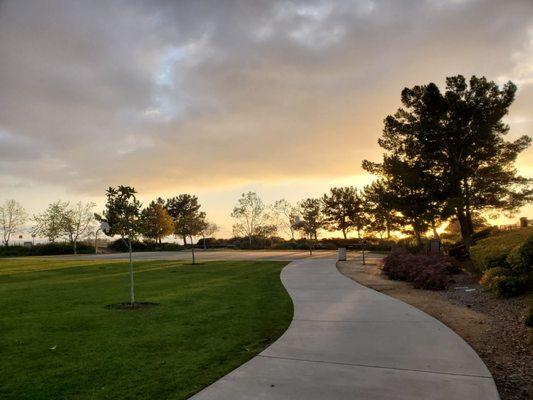 Dusk at the park