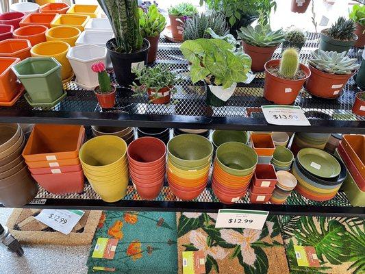 Biodegradable pots and planters! They last 5years before biodegrading