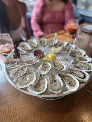 Oysters.