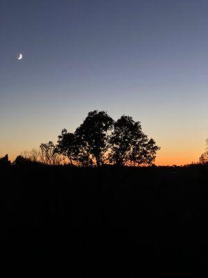 Roseland Resort and Campground