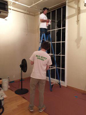 Decontamination of windows at a local yoga studio, constant mold growth caused by elevated humidity levels during yoga sessions