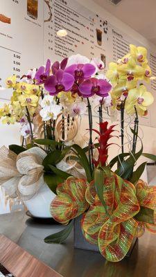 Lively orchids on Counter.  Brighten the moods