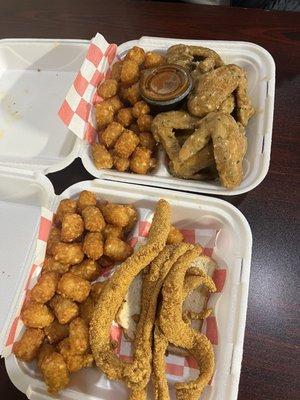 Deliciousness! Fried fish, whole garlic parm wings, and tots. Plus the Nashville hot sauce on the side.