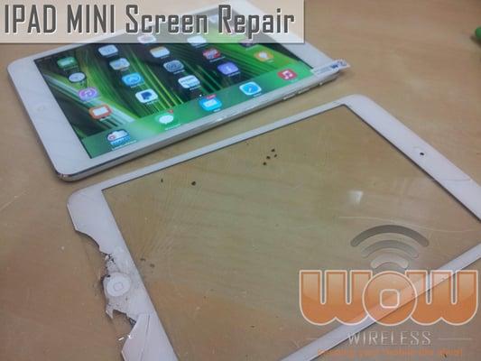 iPad Mini Screen Repair.  We offer repair service for most problems in iPad 2, iPad 3, iPad 4, iPad Air, iPad Mini.