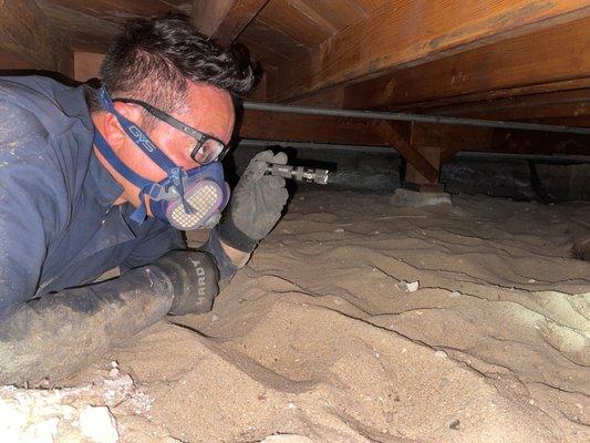 Crawl space inspection