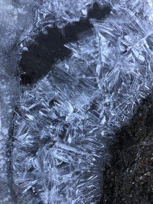 Some ice crystals on the stream surface! Sooo cool! Saw icicles in mini waterfall too!