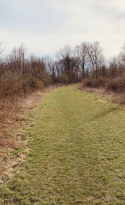 Walking trail