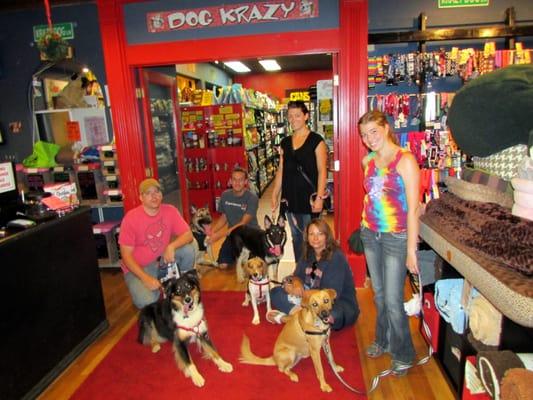 Einstein,Sam,Amelia, Reese and Piper love Dog Krazy!