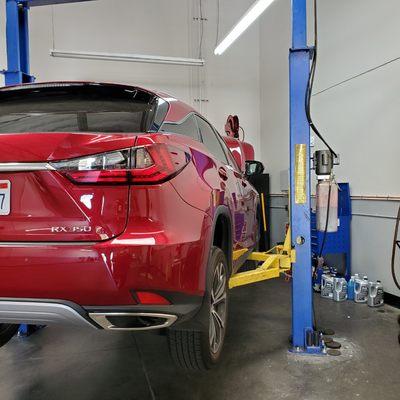 2020 Lexus RX 350 Service