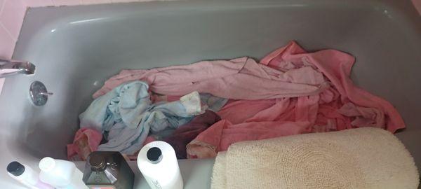 Bathtub filled with wet, dirty towels.