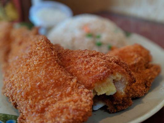 Fried fish and rice was good. Light, delicate and flakey. No greasy flavor and came in large portions. Recommended.