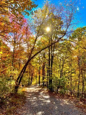 Camp Taylor Campground