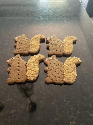 Squirrel dog treats