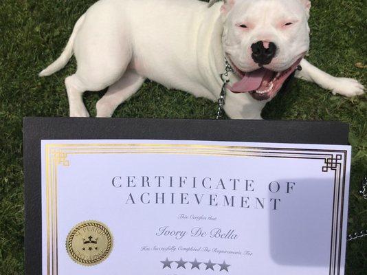 Basic Training Graduate of Brooks Canine Center - June 2019