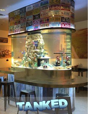 Meet our 720 gallon aquarium...we mean TANK!