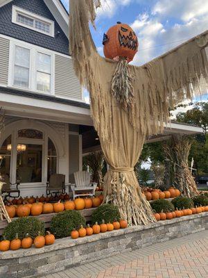 Scarecrow fest pumpkin give away