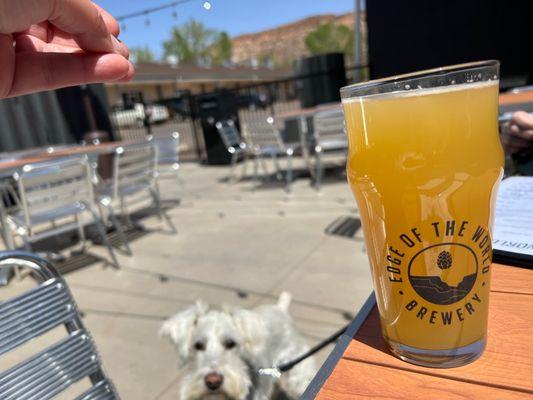 Ollie and Mom's Hazy IPA!!