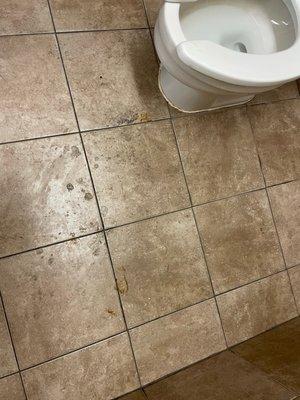 Poop on floor