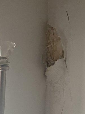 The moldy ceiling that fell on my head while sleeping