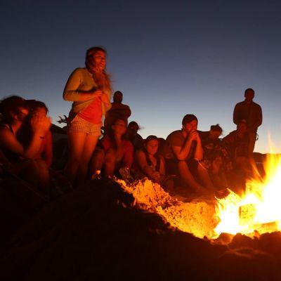 Net Beach Bonfire