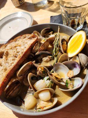 Clams & scallops