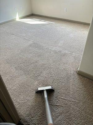 Residential Carpet Cleaning