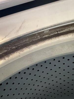 Washing Machine mold/mildew