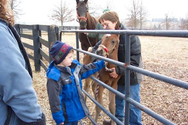 Petting a future Kentucky Derby Winner