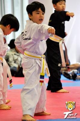 Tiger J Taekwondo's 2nd Belt Promotion Test 
  _4/18/15