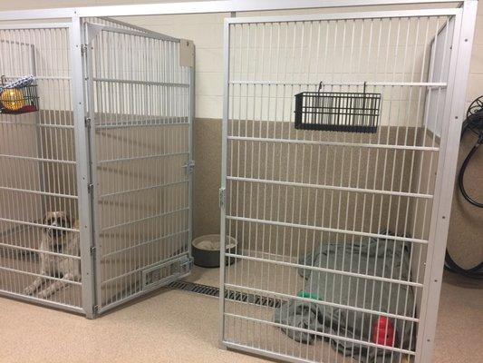 Large boarding kennel