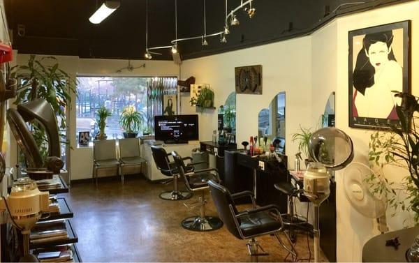 Artist Hair Salon